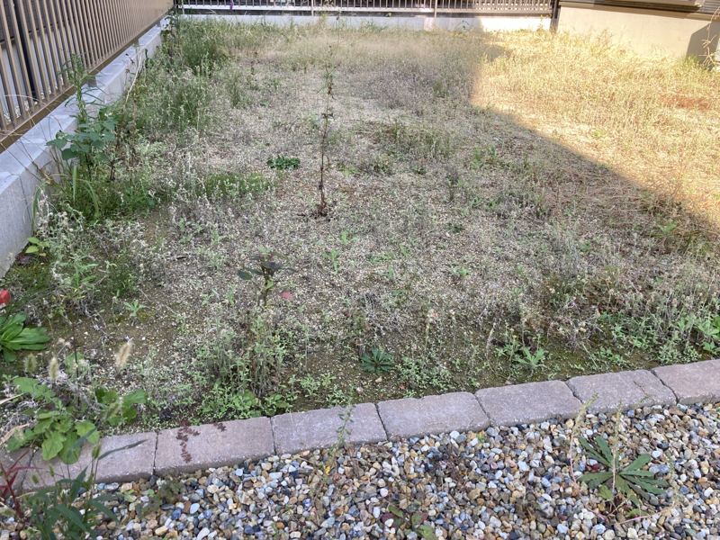 施工前：雑草だらけの庭